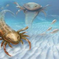 Eurypterid