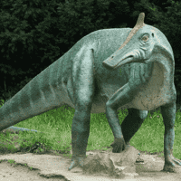 Saurolophus