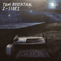 Tom Rosenthal- Lights Are On