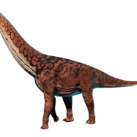 Camarasaurus