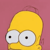 Homer's Brain