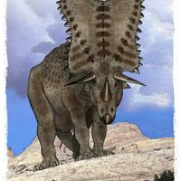 Chasmosaurus