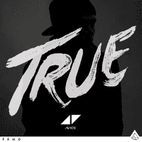 Avicii - Always on the Run