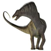 Amargasaurus