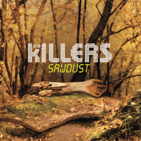 The Killers - Under the Gun