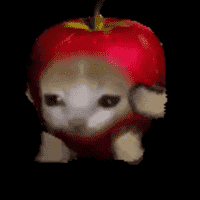 Apple Cat