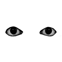 Eyes