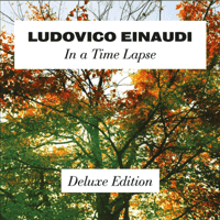 Ludovico Einaudi - Experience