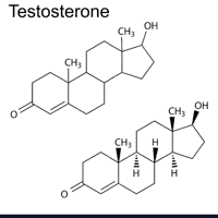 testosterone (hormone)