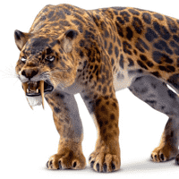 Smilodon