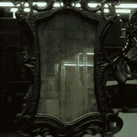 The mirror