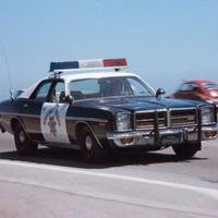 Dodge Monaco Personality Type, MBTI - Which Personality?