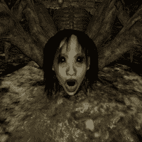 zara(spider)