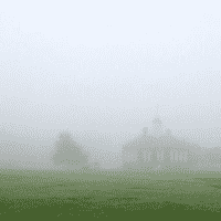 Fog