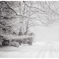 Blizzard