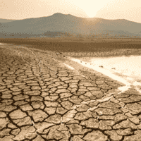 Drought
