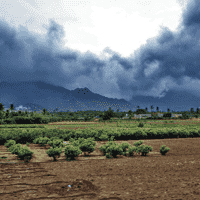 Monsoon