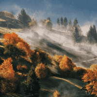 Mist
