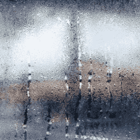 Humid