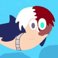 Shoto Shark