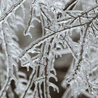 Freezing Rain
