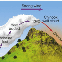 Chinook Wind
