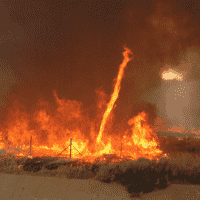 Fire Whirl