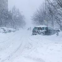 Snowstorm
