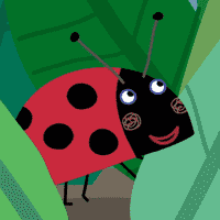 Gaston The Ladybird