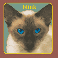 Blink-182 - Cheshire Cat