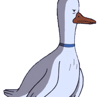 Mr. Goose