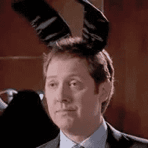 Bunny-Ears Lawyer