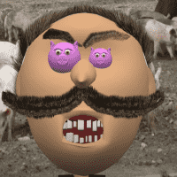 Papa