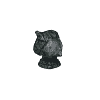 Stone Roots(creed)