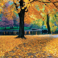 Autumn
