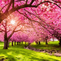 Spring