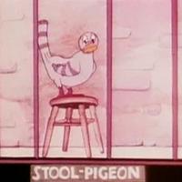 The Stool Pigeon