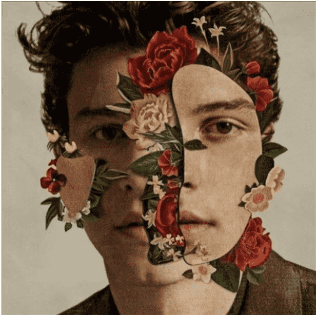 Mutual - Shawn Mendes