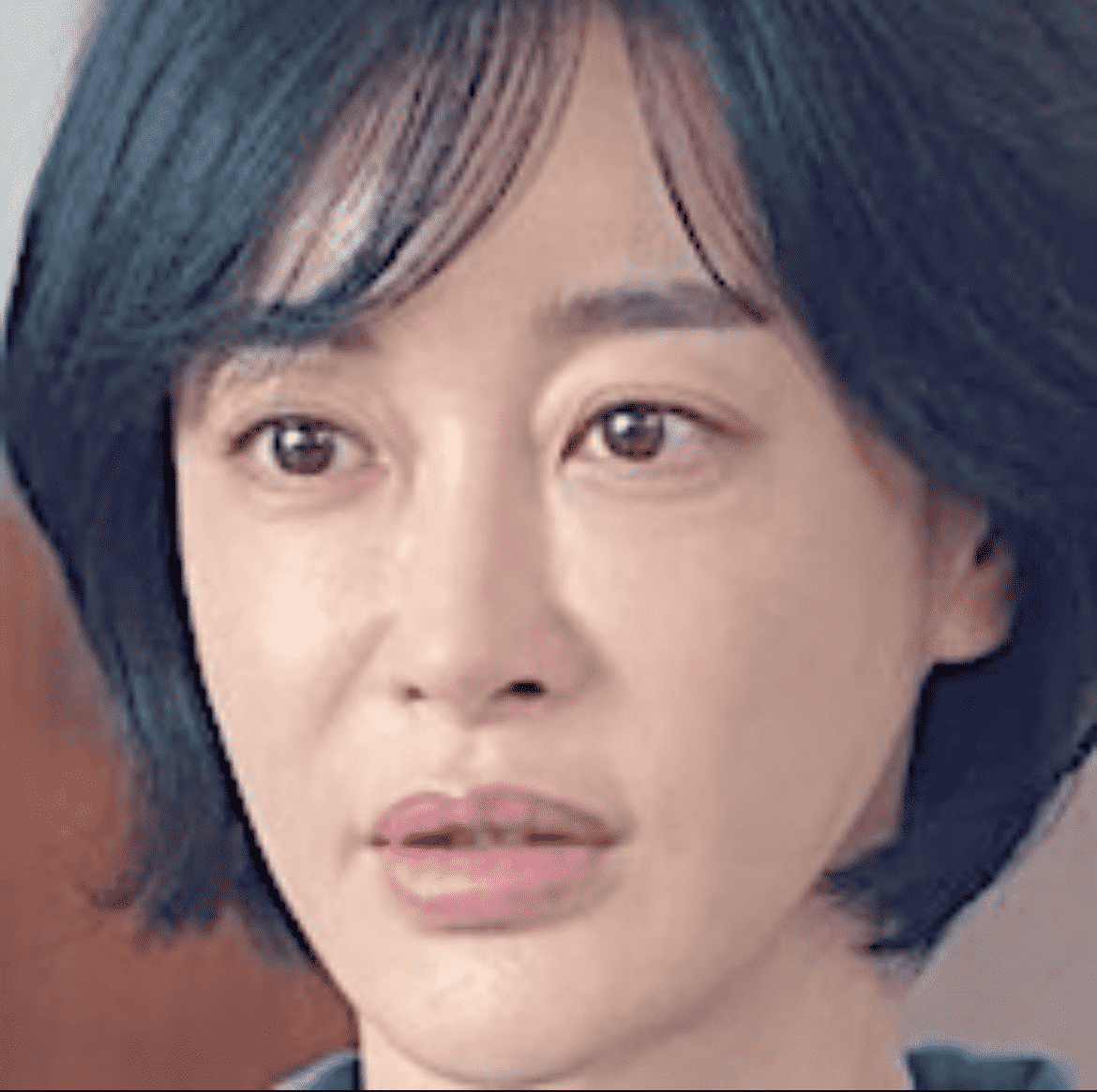 Yang Chan Mi
