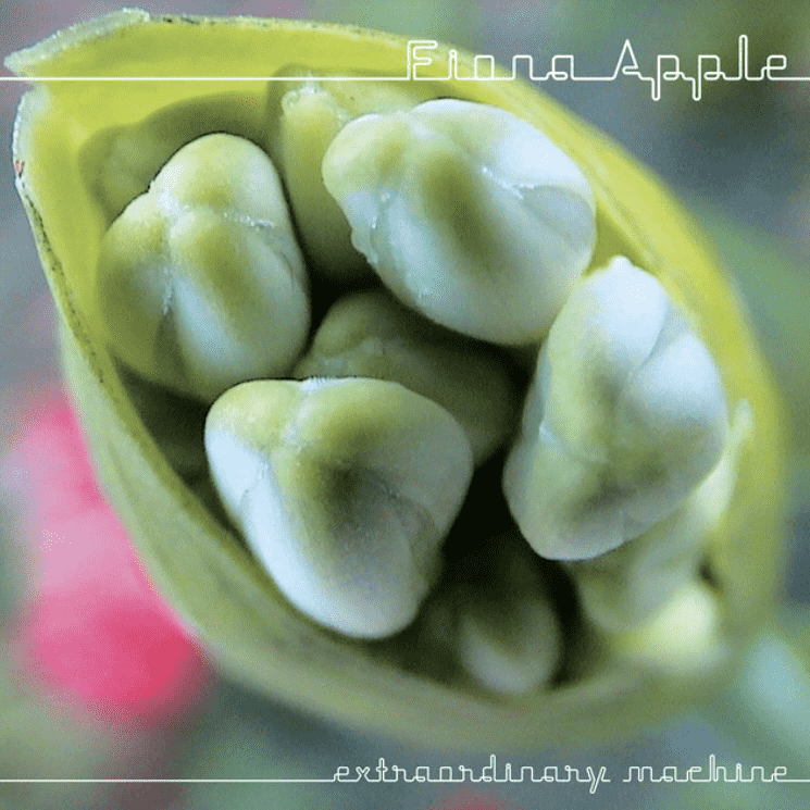 Fiona Apple - Please Please Please