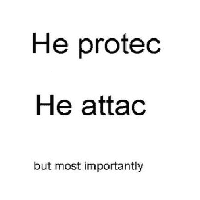 He Protec but He Also Attac