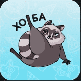 Пилфи (Pilfy the Raccoon)