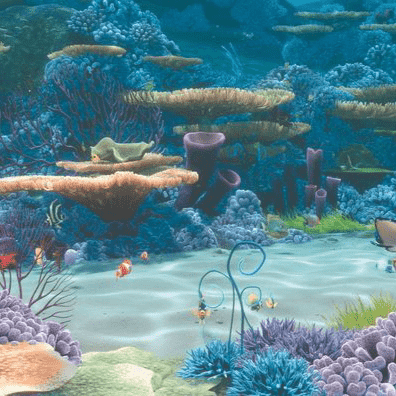 Nemo's Coral Reef ????