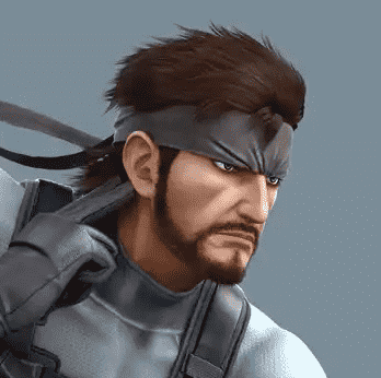 Snake (Playstyle)