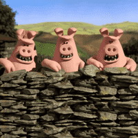 The Pigs