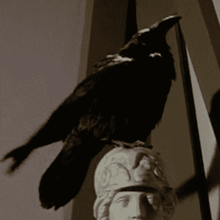 Raven (quoth the raven)