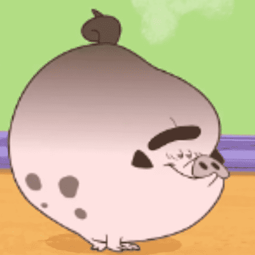Porco