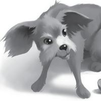 Bob