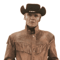 Midnight Cowboy (1969)