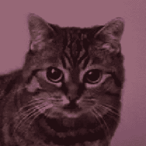 Minuet